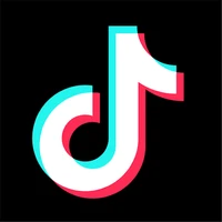 TikTok Marketing & Advertising