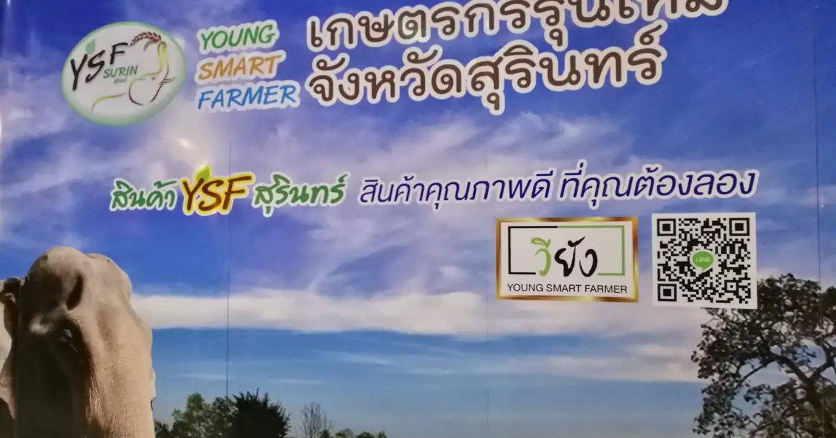 การตลาดออนไลน์ โครงการแลกเปลี่ยนเรียนรู้และสร้างเครือข่าย Young Smart Farmer ระดับเขต จ.สุรินทร์