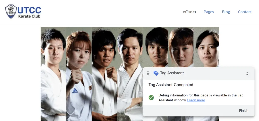 การติดตั้ง Google Tag Manager ที่ WordPress - รูปที่ 6